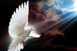 020 wkg bs der heilige geist