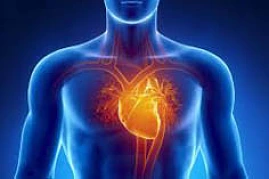 331 mit einem neuen herz ins neue jahr