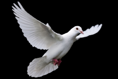 383 mida jeesus ütleb püha vaimu kohta
